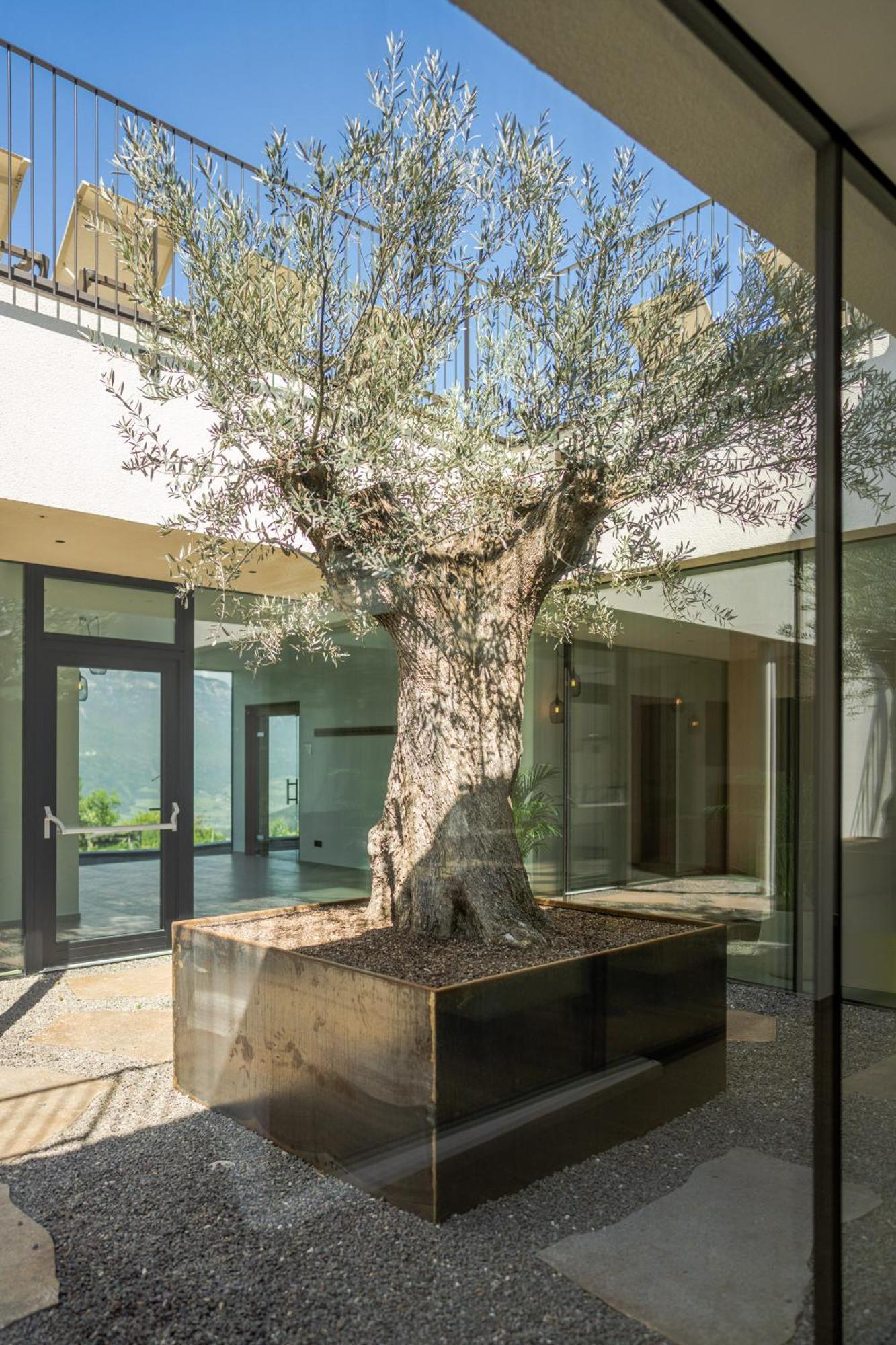 Hotel Tenz 2025 Montagna Εξωτερικό φωτογραφία