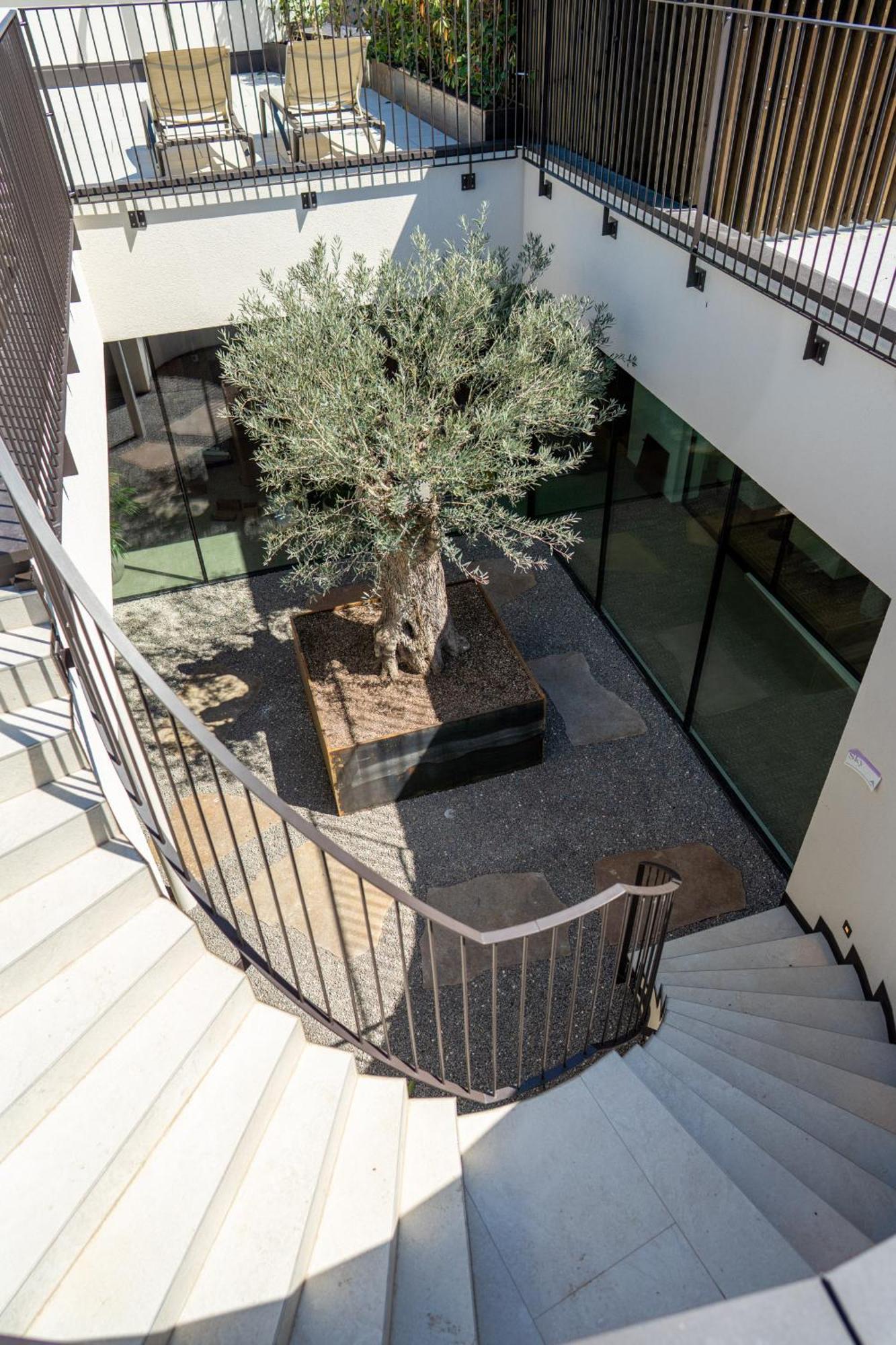 Hotel Tenz 2025 Montagna Εξωτερικό φωτογραφία